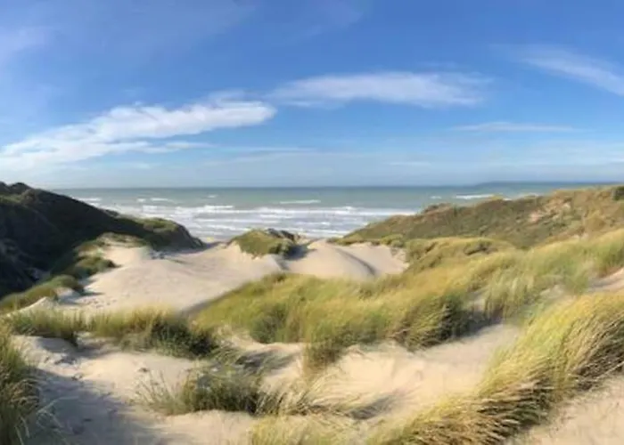 Entre Dunes Et Pins
