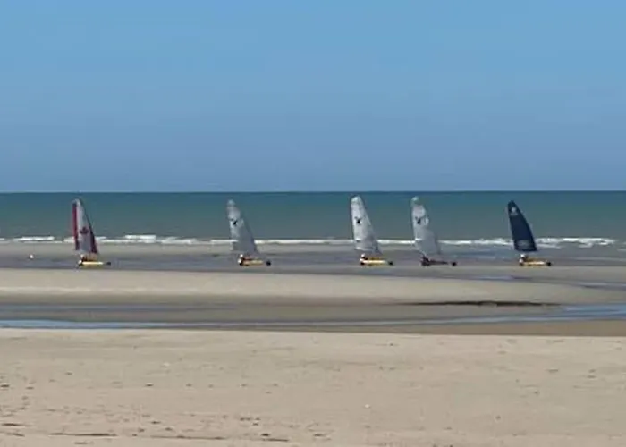 Entre Dunes Et Pins