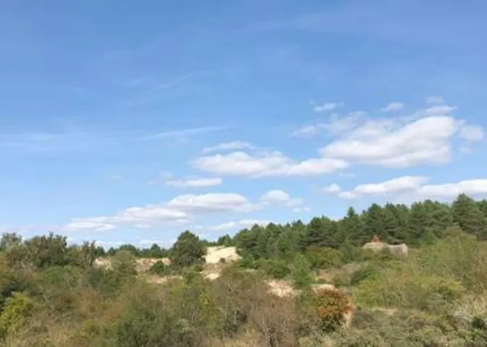 Entre Dunes Et Pins