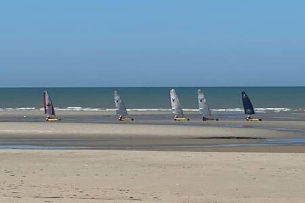 Entre Dunes Et Pins Merlimont