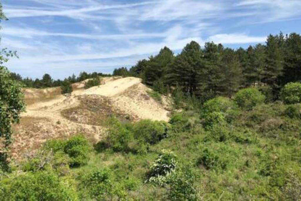 Entre Dunes Et Pins Hébergement de vacances Merlimont