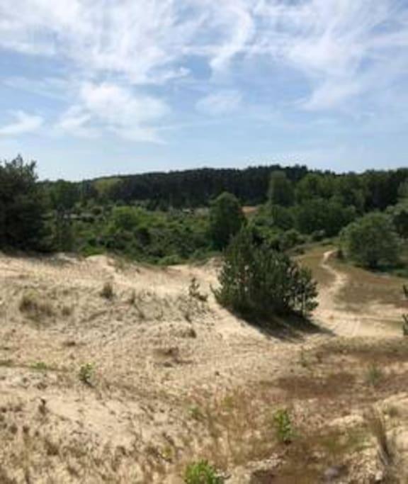 Entre Dunes Et Pins * Merlimont